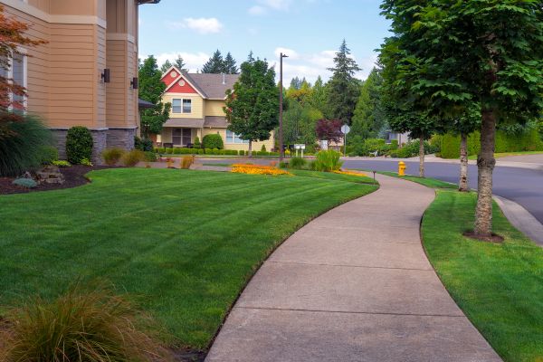 Cost of Sidewalk Patching in West Lafayette