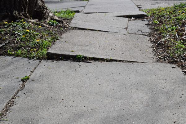 Cost of Trip Hazard Removal in West Lafayette